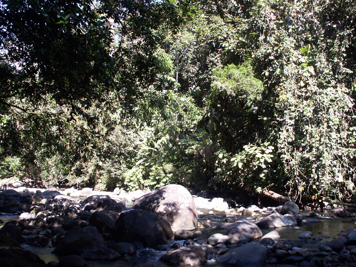 18a - Cascade aux Ecrevisses 012.jpg - DCF 1.0